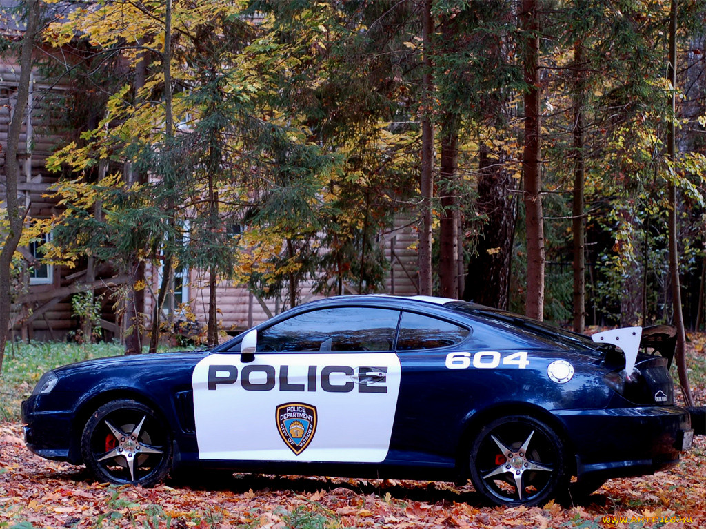 by, northwolf, , hyundai